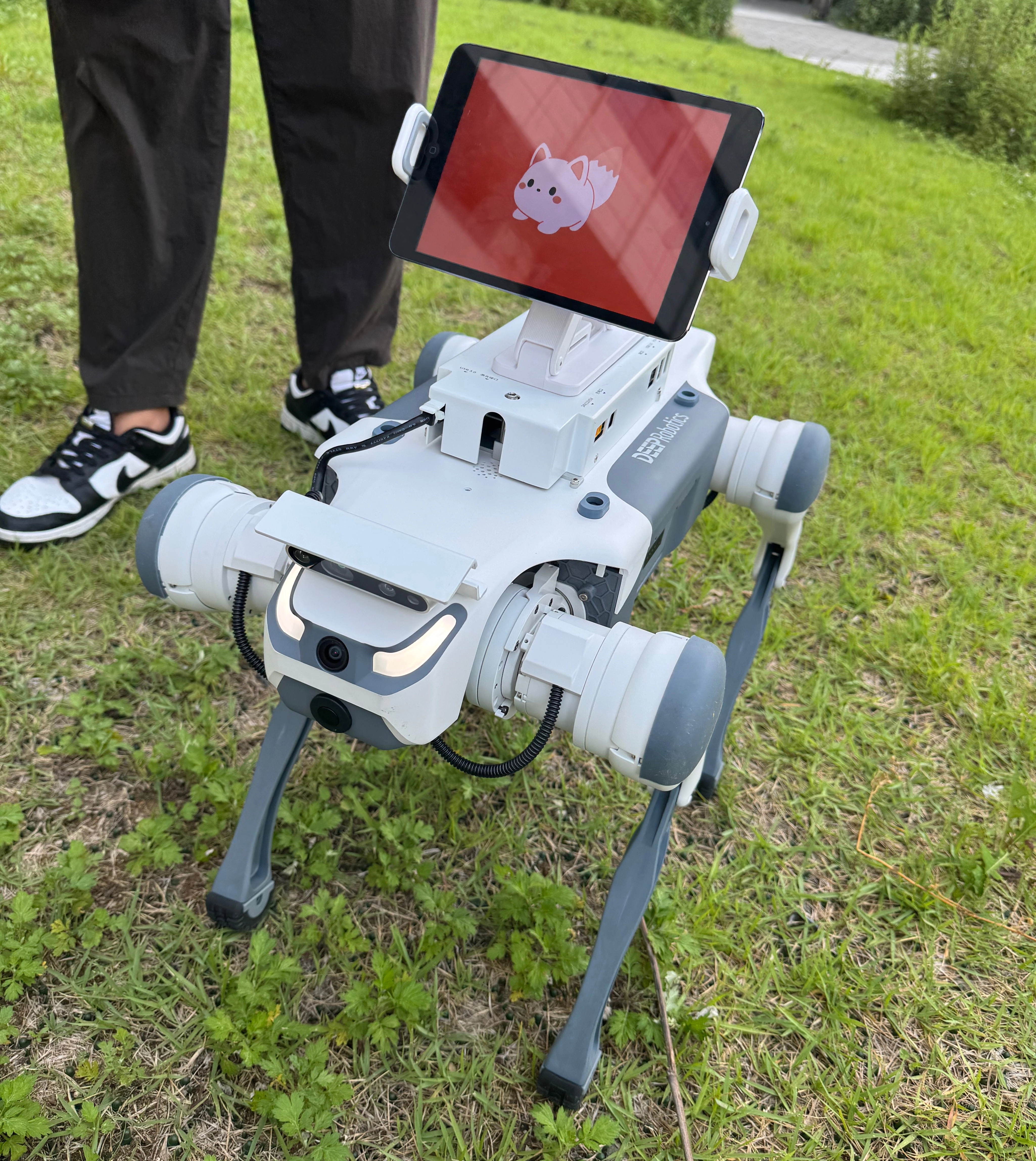 로봇개 광고 플랫폼 모습 6